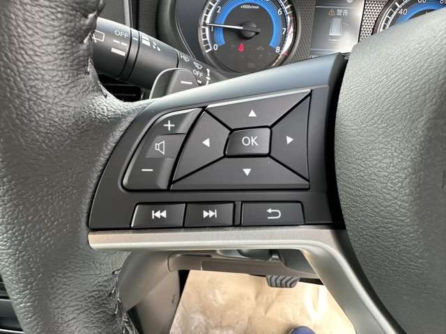 三菱 デリカ　ミニ ６６０ Ｔ プレミアム ４ＷＤ R7年 (東海) 99