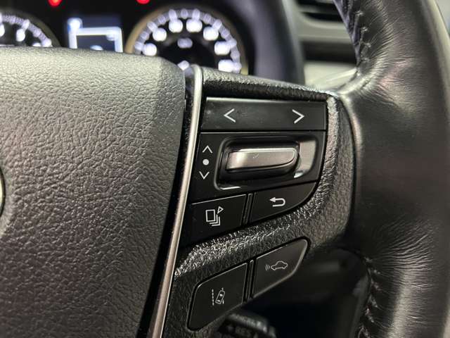 トヨタ アルファード ３．５ エグゼクティブ ラウンジ Ｓ H30年 (関東) 99