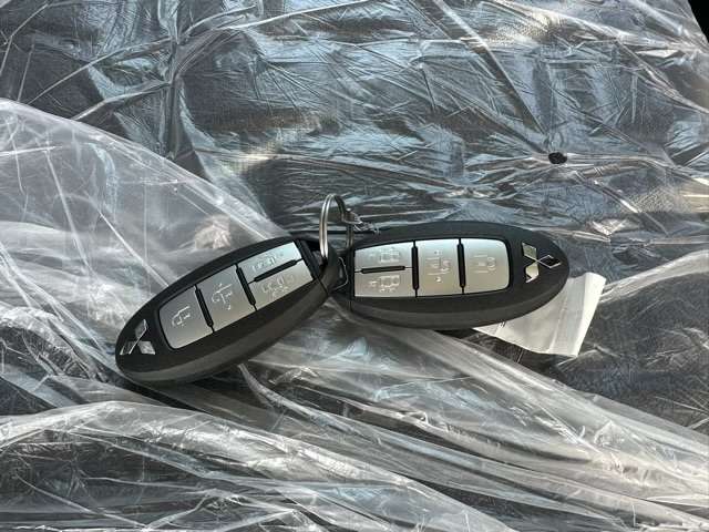 三菱 デリカ　ミニ ６６０ Ｇ プレミアム ４ＷＤ R6年 (東海) 99