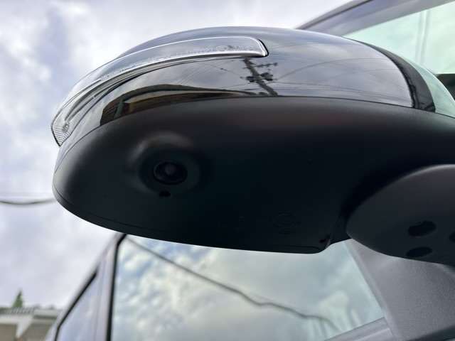 三菱 デリカ　ミニ ６６０ Ｔ プレミアム ４ＷＤ R6年 (東海) 99