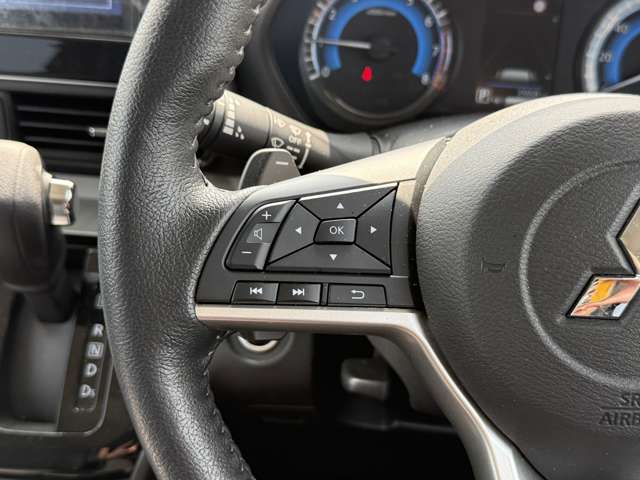 三菱 デリカ　ミニ ６６０ Ｔ プレミアム ４ＷＤ R6年 (中国) 99