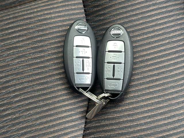 日産 エルグランド ２．５ ２５０ハイウェイスターＳ R3年 (東海) 99