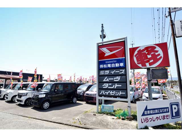 ダイハツ ムーヴ ６６０ Ｌ ＳＡＩＩ H27年 (九州・沖縄) 99