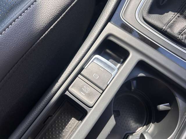 フォルクスワーゲン ゴルフヴァリアント ＴＤＩ ハイライン マイスター ディーゼルターボ R2年 (東北) 99