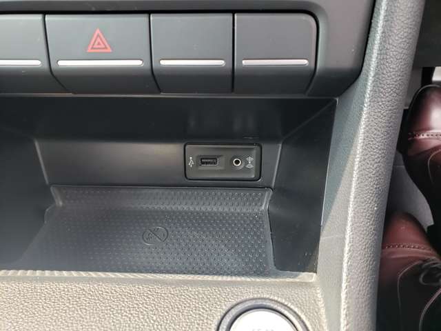 フォルクスワーゲン ザ　ビートル クラブ H28年 (東北) 99