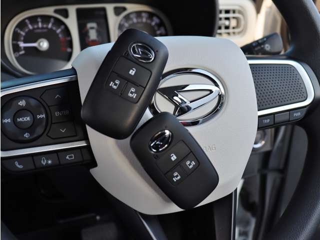 ダイハツ ムーヴ　キャンバス ６６０ ストライプス Ｇ ４ＷＤ R7年 (中国) 99