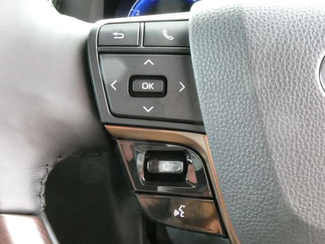 トヨタ アルファード ２．５ Ｚ R7年 (関東) 99