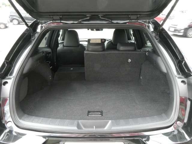 レクサス ＵＸ２５０ｈ バージョンＣ R1年 (関東) 99