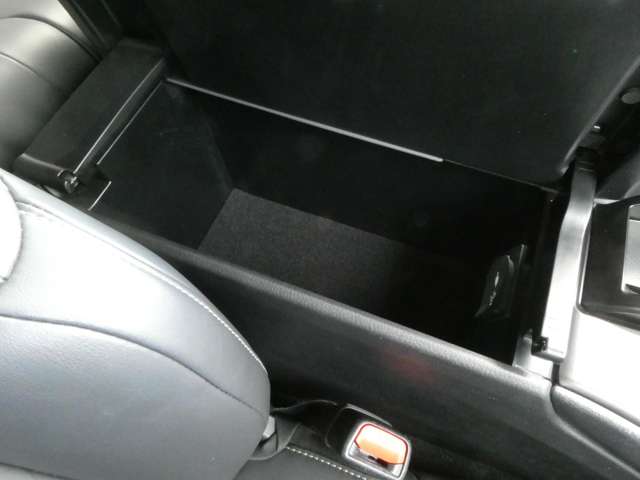 レクサス ＵＸ２５０ｈ バージョンＣ R1年 (関東) 99