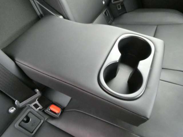 レクサス ＵＸ２５０ｈ バージョンＣ R1年 (関東) 99