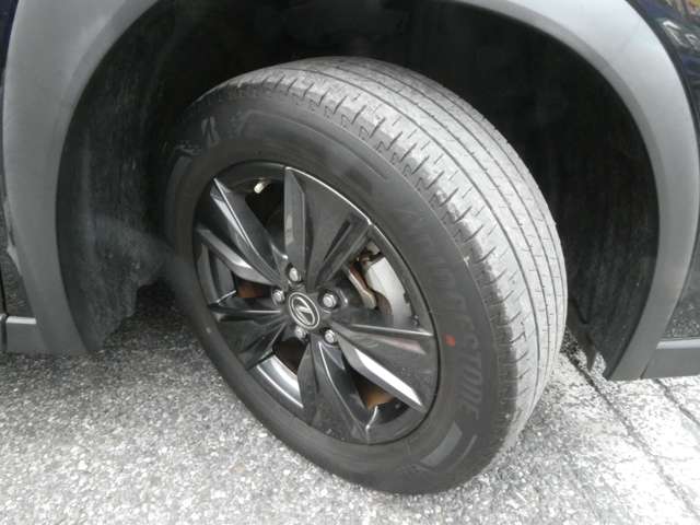 レクサス ＵＸ２５０ｈ バージョンＣ R1年 (関東) 99