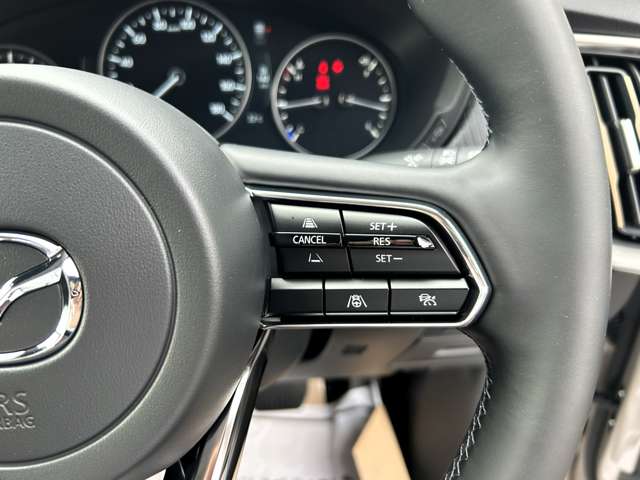 マツダ ＣＸ−６０ ３．３ ＸＤ ＳＰ ディーゼルターボ R7年 (関東) 99