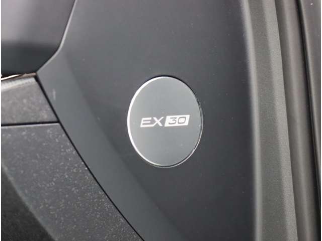 ボルボ ＥＸ３０ ウルトラシングルモーター　エクステンデッドレンジ R6年 (近畿) 99