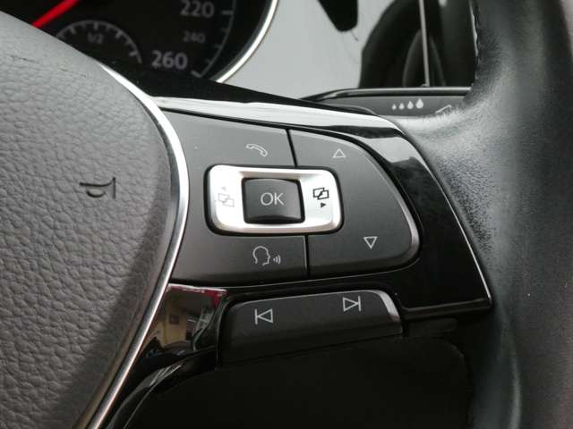 フォルクスワーゲン ゴルフヴァリアント ＴＳＩ　ハイライン H27年 (関東) 99