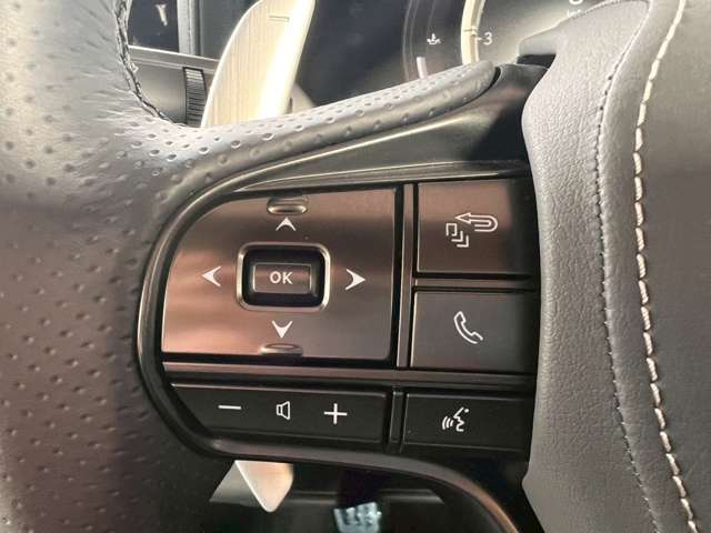 レクサス ＬＣ５００ Ｓパッケージ R4年 (東海) 99