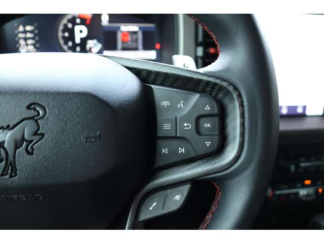 フォード ブロンコ ラプター R5年 (東海) 99