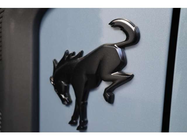 フォード ブロンコ ラプター R5年 (東海) 99