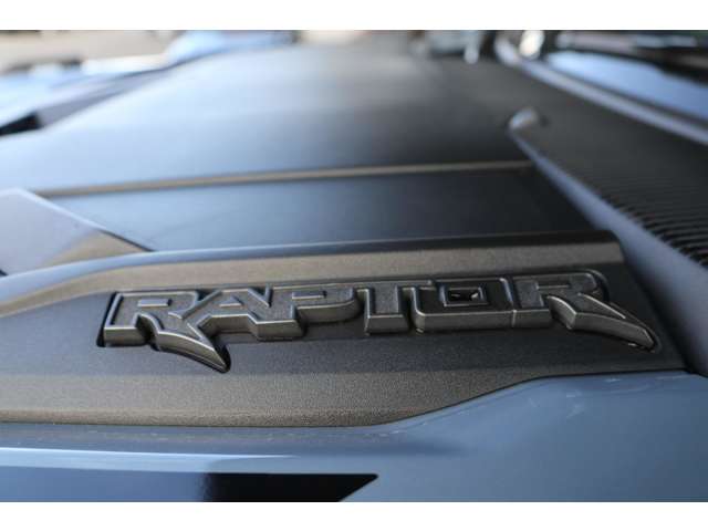 フォード ブロンコ ラプター R5年 (東海) 99