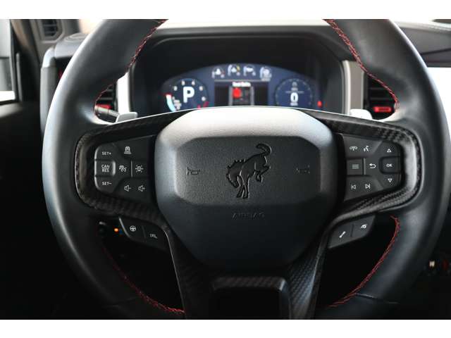 フォード ブロンコ ラプター R5年 (東海) 99