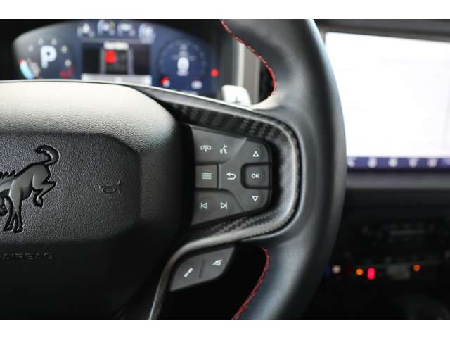 フォード ブロンコ ラプター R5年 (東海) 99