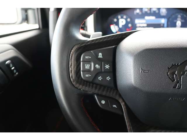 フォード ブロンコ ラプター R5年 (東海) 99