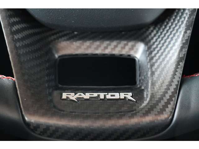 フォード ブロンコ ラプター R5年 (東海) 99