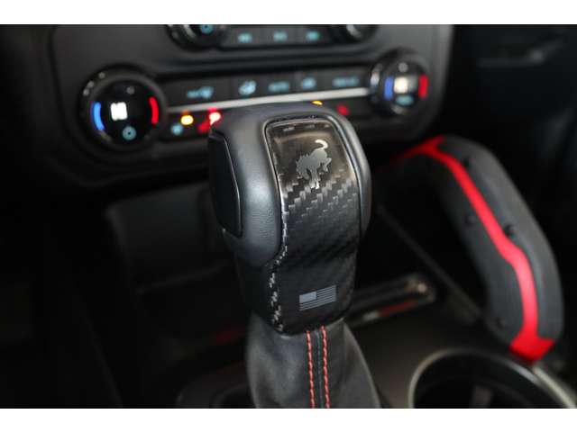 フォード ブロンコ ラプター R5年 (東海) 99