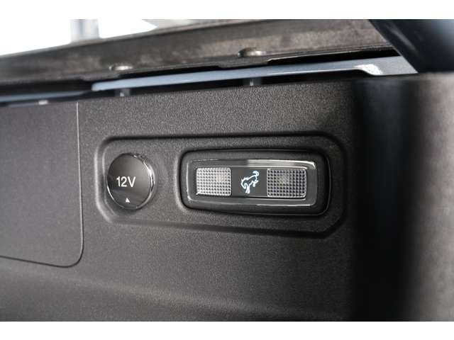 フォード ブロンコ ラプター R5年 (東海) 99