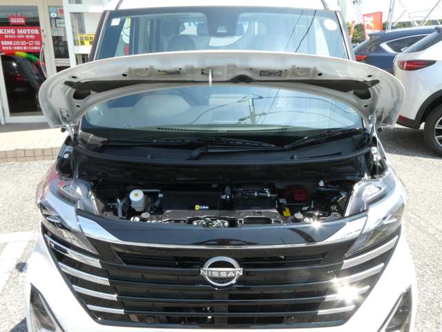 日産 ルークス ６６０ ハイウェイスターＧターボ プロパイロット エディション R7年 (関東) 99