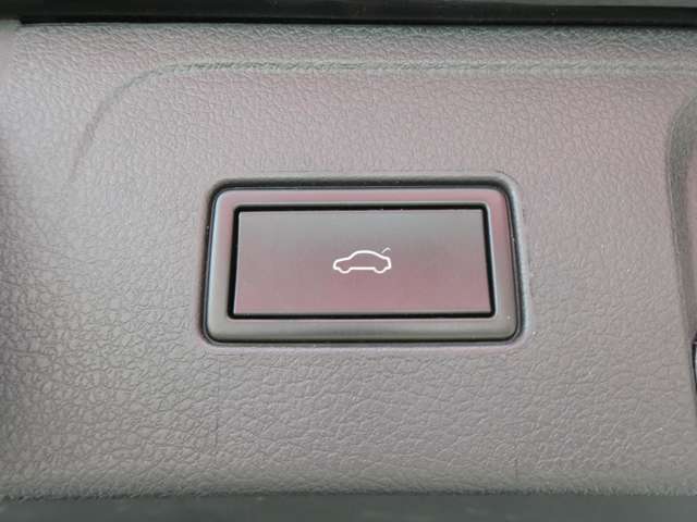 フォルクスワーゲン パサートヴァリアント ＴＤＩ エレガンスライン ディーゼルターボ H30年 (関東) 99