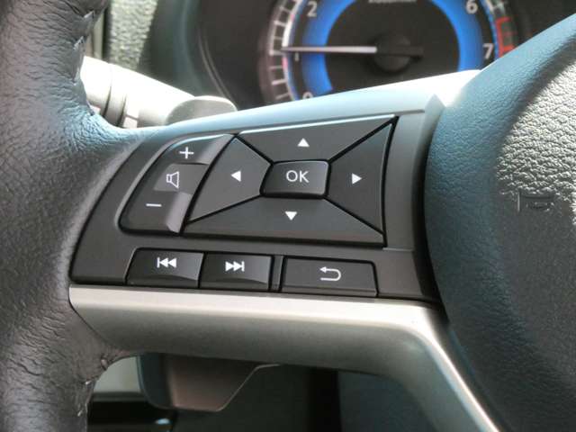 三菱 デリカ　ミニ ６６０ Ｔ プレミアム R7年 (関東) 99