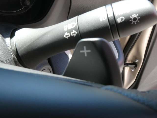 三菱 デリカ　ミニ ６６０ Ｔ プレミアム ４ＷＤ R7年 (関東) 99