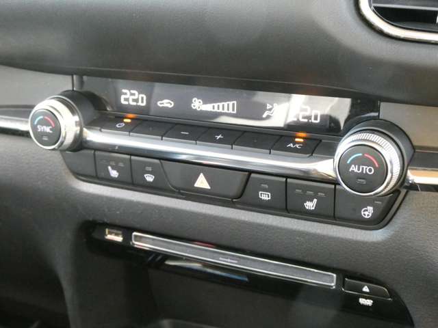 マツダ ＣＸ−３０ ２．０ ２０Ｓ プロアクティブ ツーリングセレクション R3年 (関東) 99