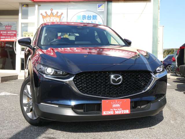 マツダ ＣＸ−３０ ２．０ ２０Ｓ プロアクティブ ツーリングセレクション R3年 (関東) 99