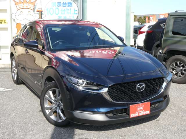 マツダ ＣＸ−３０ ２．０ ２０Ｓ プロアクティブ ツーリングセレクション R3年 (関東) 99