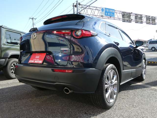 マツダ ＣＸ−３０ ２．０ ２０Ｓ プロアクティブ ツーリングセレクション R3年 (関東) 99