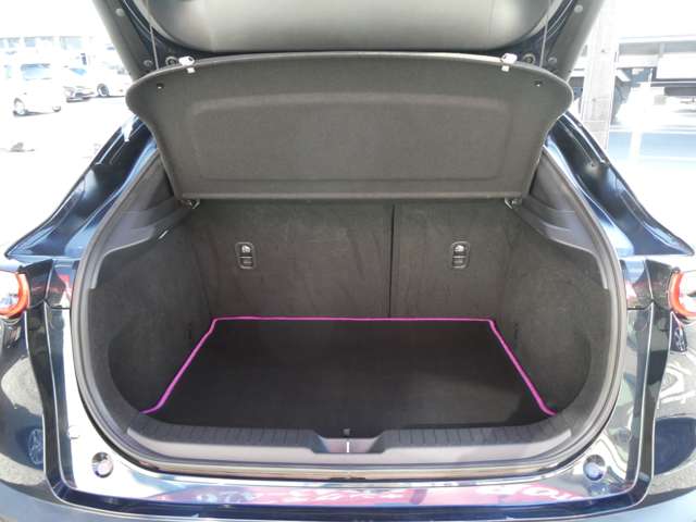 マツダ ＣＸ−３０ ２．０ ２０Ｓ プロアクティブ ツーリングセレクション R3年 (関東) 99