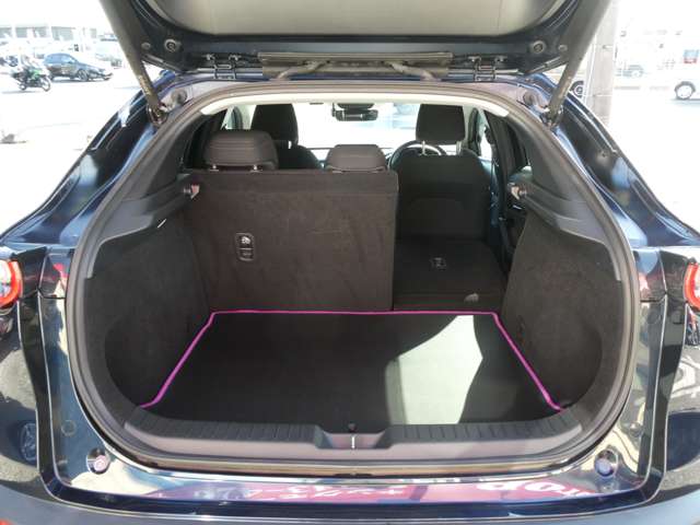 マツダ ＣＸ−３０ ２．０ ２０Ｓ プロアクティブ ツーリングセレクション R3年 (関東) 99