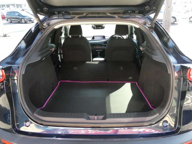 マツダ ＣＸ−３０ ２．０ ２０Ｓ プロアクティブ ツーリングセレクション R3年 (関東) 99