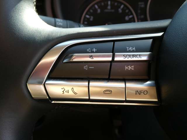 マツダ ＣＸ−３０ ２．０ ２０Ｓ プロアクティブ ツーリングセレクション R3年 (関東) 99