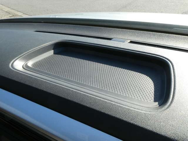 フォルクスワーゲン ザ　ビートル デザイン　レザーパッケージ H24年 (関東) 99