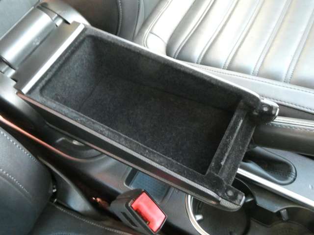 フォルクスワーゲン ザ　ビートル デザイン　レザーパッケージ H24年 (関東) 99