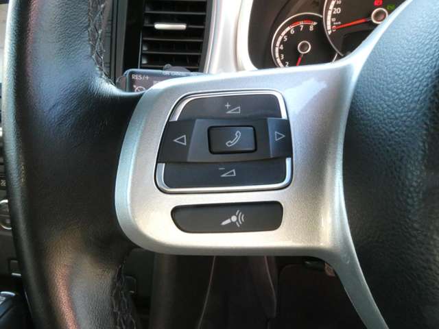 フォルクスワーゲン ザ　ビートル デザイン　レザーパッケージ H24年 (関東) 99