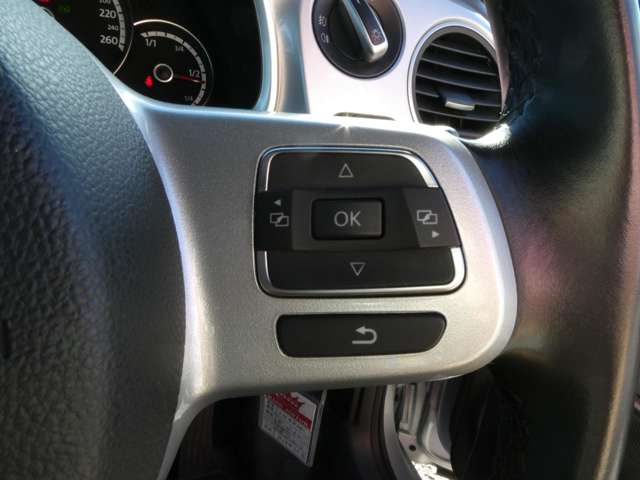 フォルクスワーゲン ザ　ビートル デザイン　レザーパッケージ H24年 (関東) 99