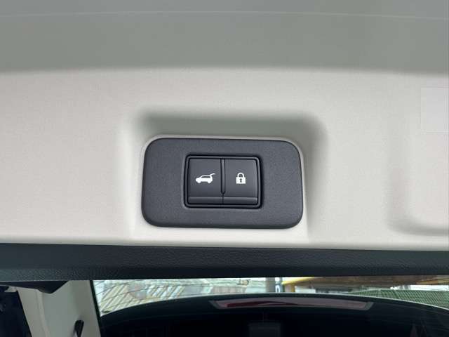 日産 アリア Ｂ９ Ｅ－４ＯＲＣＥ リミテッド ４ＷＤ R6年 (東海) 99