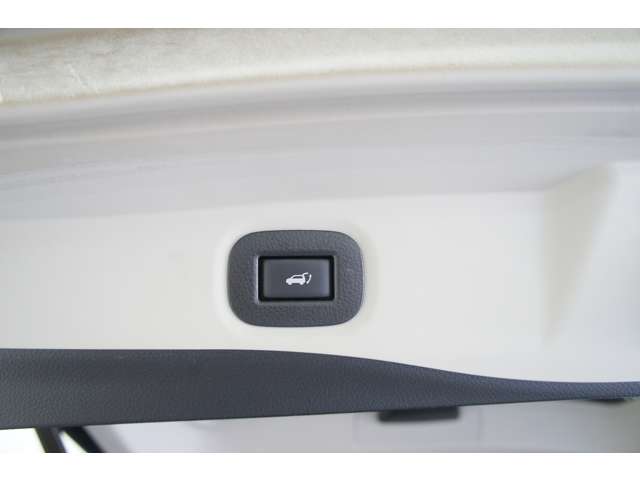 日産 エクストレイル ２．０ ２０Ｘ ２列車 ４ＷＤ H29年 (東北) 99