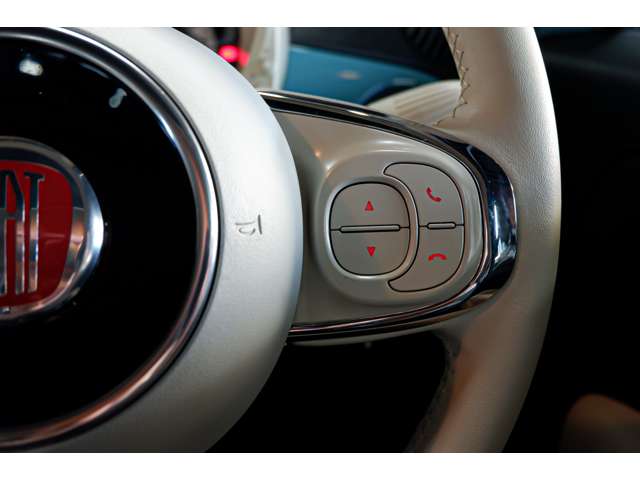 フィアット ５００（チンクエチェント） アニベルサリオ H30年 (北海道) 99