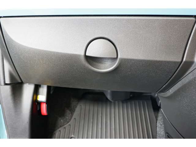 フィアット ５００（チンクエチェント） アニベルサリオ H30年 (北海道) 99