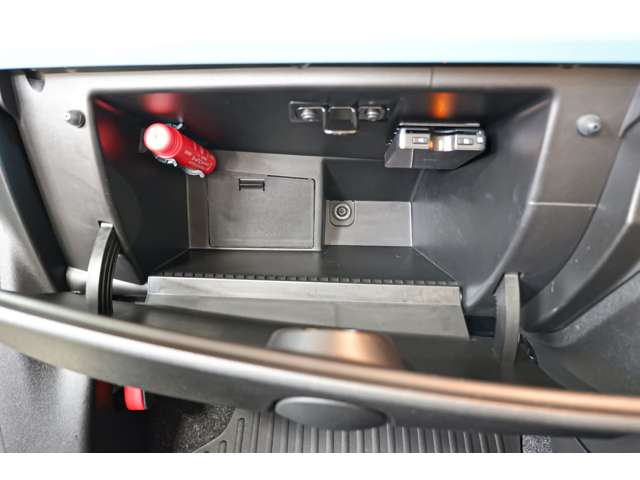 フィアット ５００（チンクエチェント） アニベルサリオ H30年 (北海道) 99