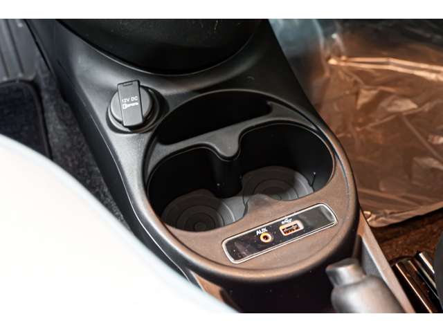 フィアット ５００（チンクエチェント） アニベルサリオ H30年 (北海道) 99